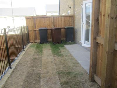 Picture 15